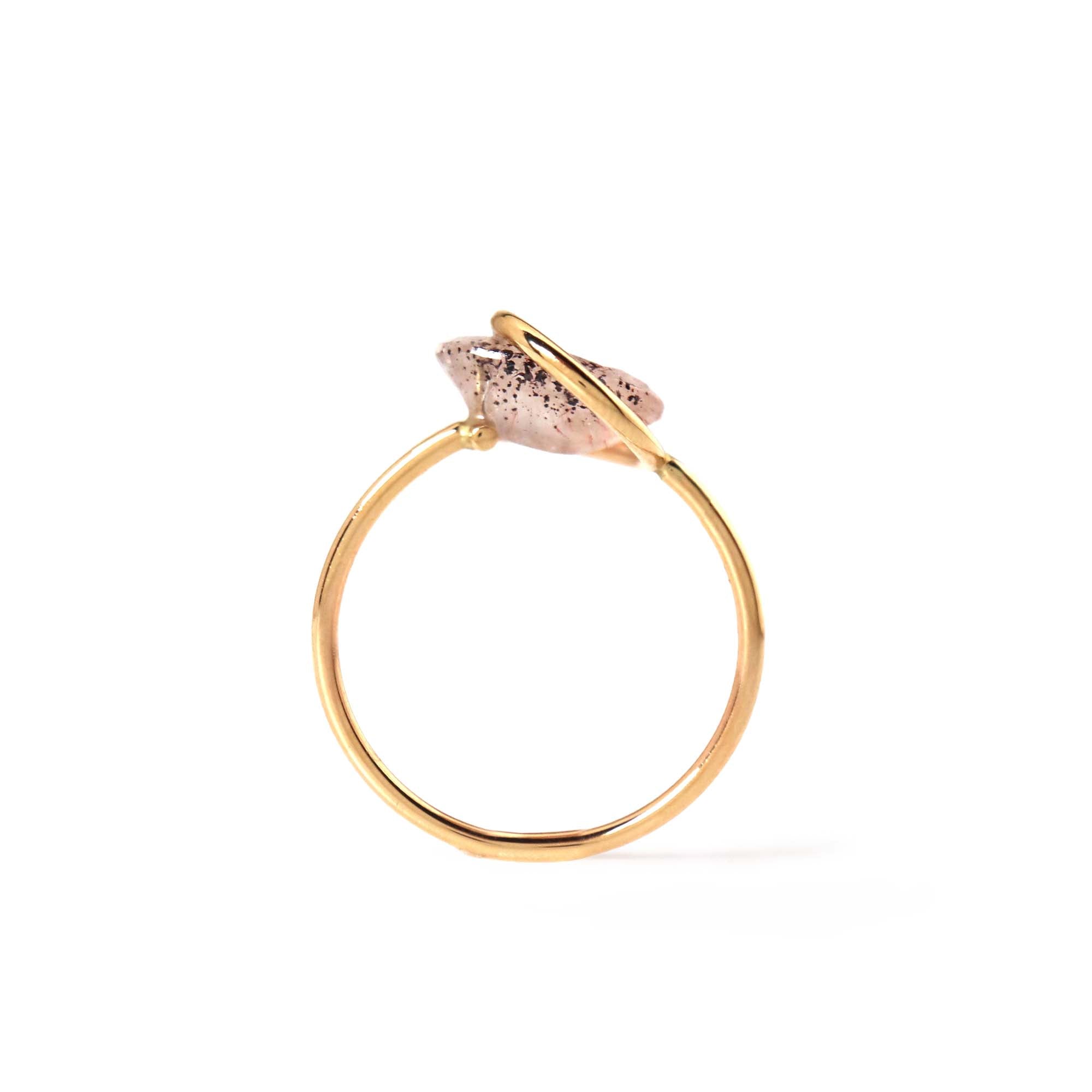 Circle / Ring <br> Goethite in quartz