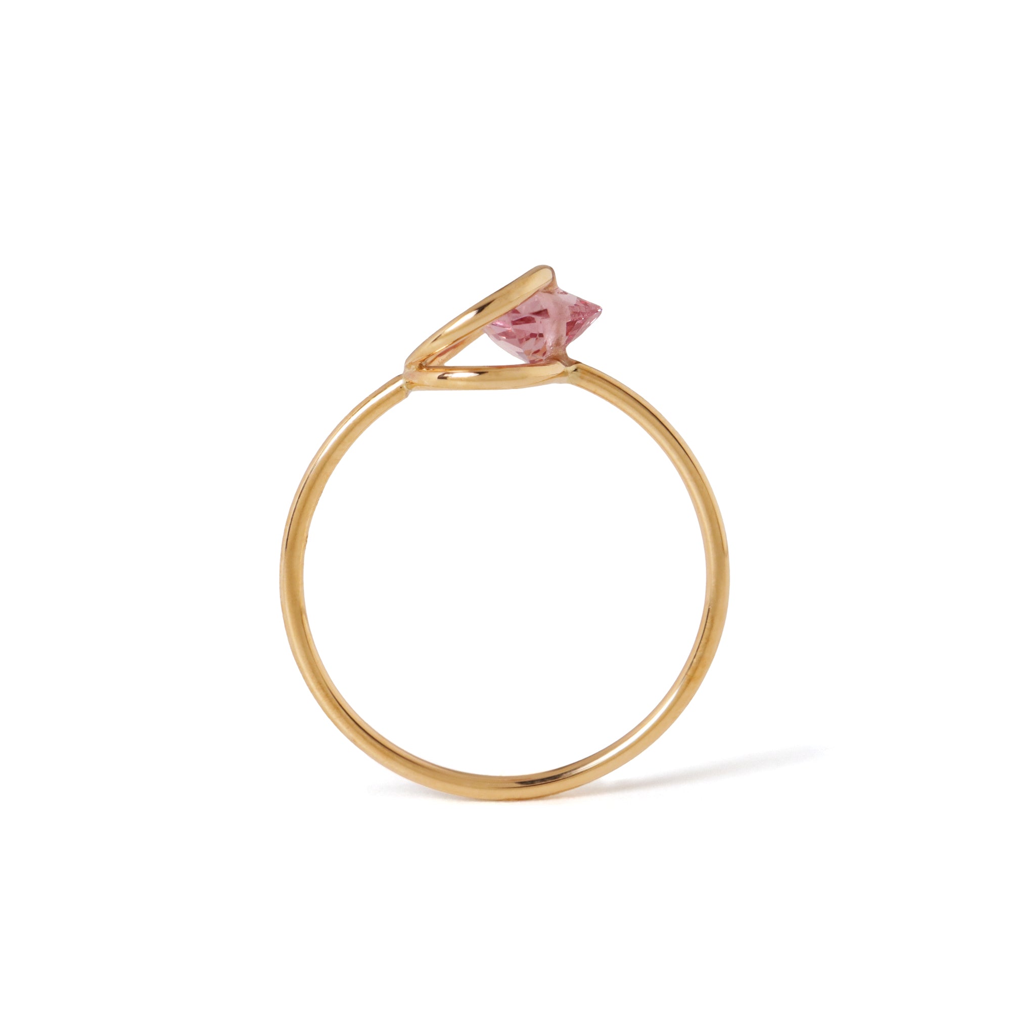 Circle / Ring <br> Dragon garnet